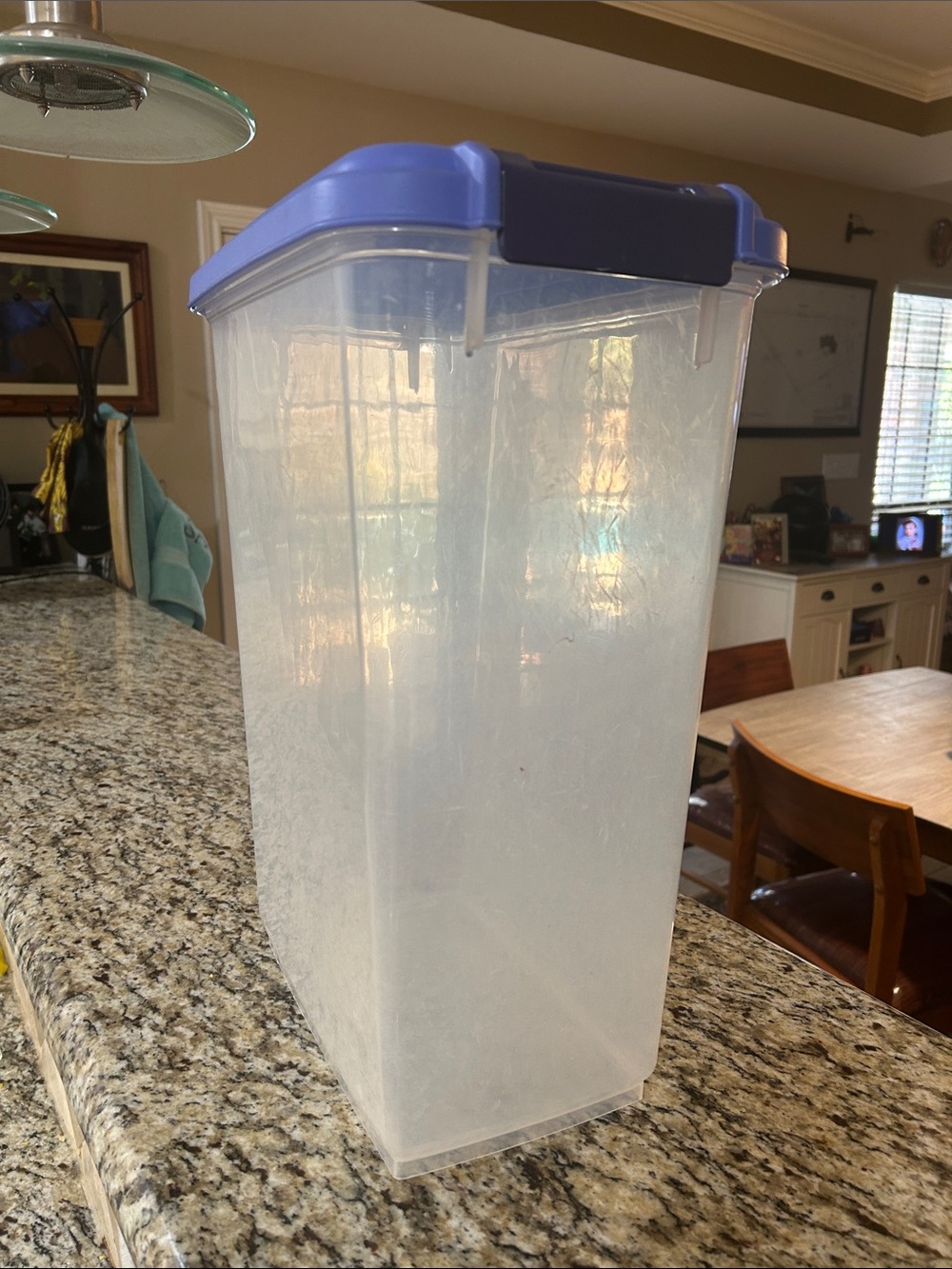 iris Tall Clear Food Storage Container with Blue Snap Lid